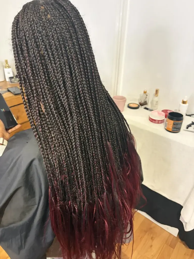 small-box-braids-waist-length_book_edgware_mobile_salon_afro_hairdresser_braider_near_me_crown-royale_frohub