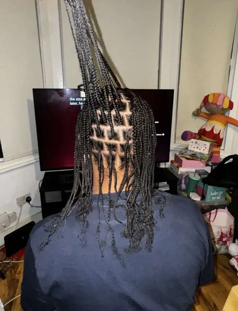 wash-blowdry-twists-single-plaits-on-natural-hair_book_london_mobile_afro_hairdresser_braider_near_me_o_doesitall_frohub