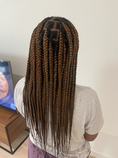 Medium Knotless Box Braids Afroye Book East London Mobile Afro Hairdresser Black Hair Salon Braider Near Me FroHub