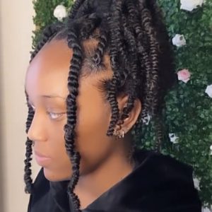 Passion Twists Chanteslayedd Book South London Afro Hairdresser Braider Near Me FroHub