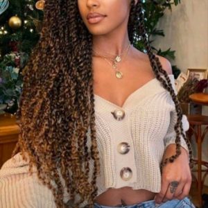 Passion Twists Crochet Braids Cornrows Singles Crown Royale Book London Mobile Afro Hairdresser Braider Near Me FroHub