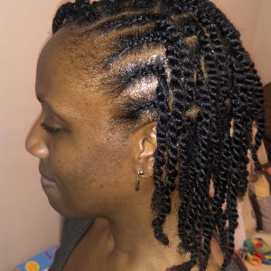 Natural Hair Twists Book London Afro Mobile Hairstylist NaturallyG FroHub