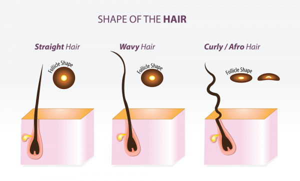 Afro Hair Breakage: Common Causes And How To Fix Them - Frohub