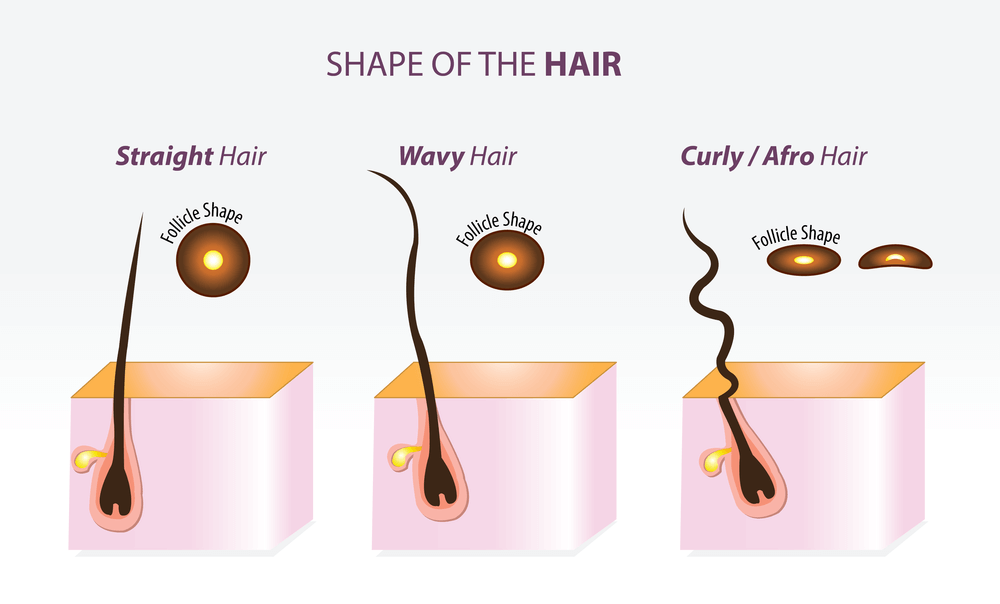 Afro Hair Shape Sebum Breakage FroHub