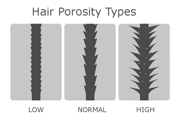 High Low Normal Porosity Afro Natural Hair FroHub