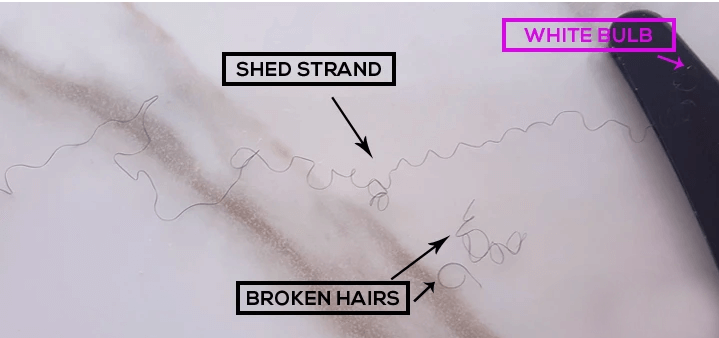 what is hair breakage shedding FroHub