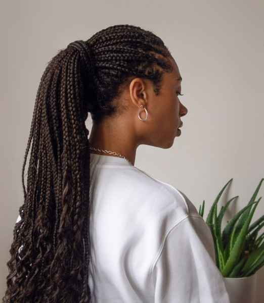 Box braids in a ponytail