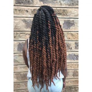 Ombre Marley Twists