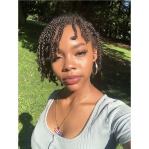 mini twists