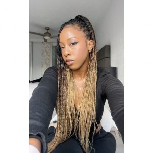 Ombre Box Braids