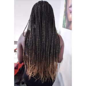 small ombre waist length box braids