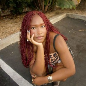 burgundy goddess braids for autumn