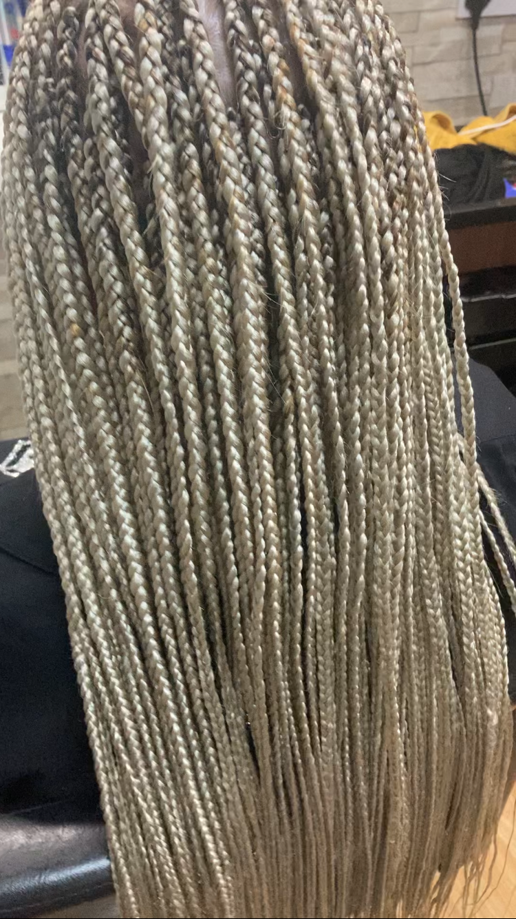 small-knotless-braids-waist-length_book_hayes_mobile_afro_hairdresser_braider_near_me_blend-with-d-trend_frohub