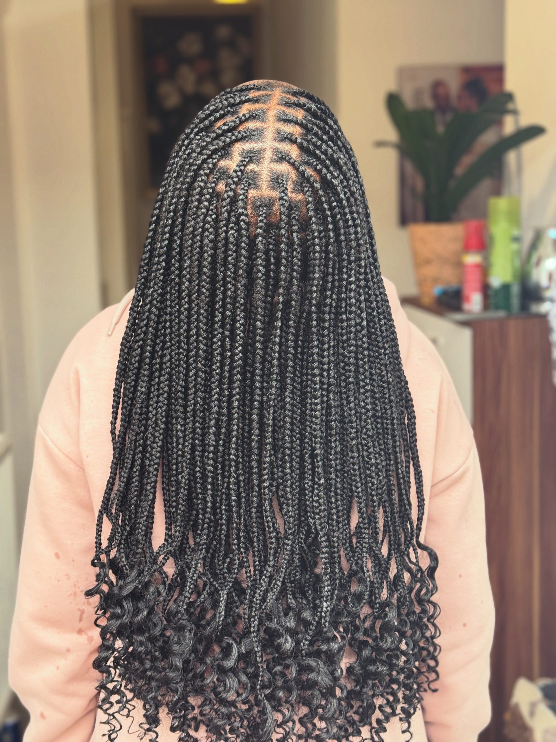 small-knotless-braids_book_coventry_afro_hairdresser_braider_near_me_braids_by_ahna_frohub