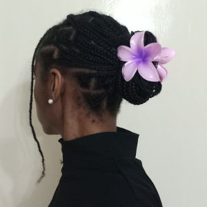 braids with flower claw clip FroHub