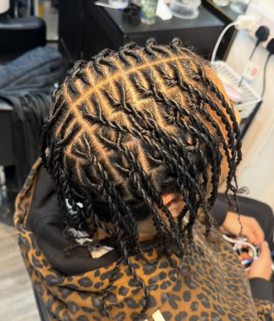 rope-twist_book_london_salon_afro_hairdresser_braider_near_me_diamond-hair-beauty-ltd_frohub