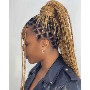 colour 27 knotless braids FroHub